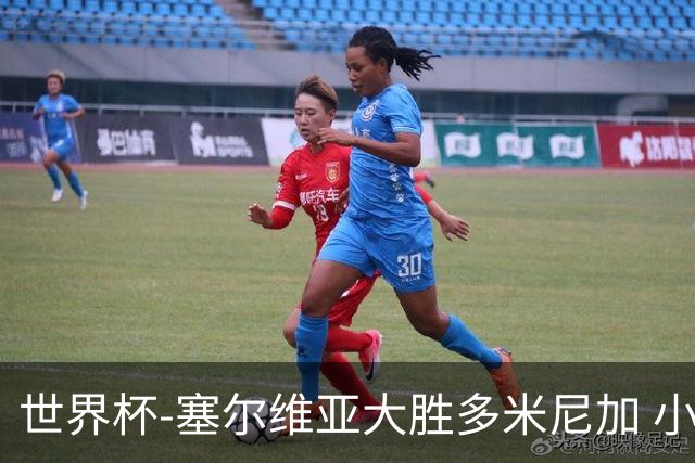 世界杯-塞尔维亚大胜多米尼加 小组第二进八强