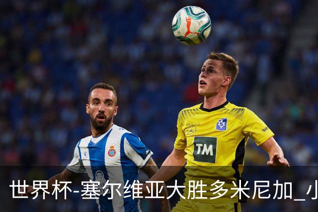 世界杯-塞尔维亚大胜多米尼加 小组第二进八强