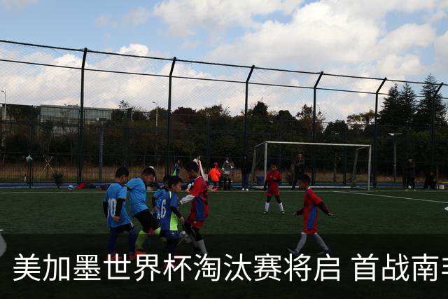 美加墨世界杯淘汰赛将启 首战南非对阵加拿大
